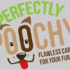 Perfectly Poochy