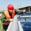 Haskell Well Drilling