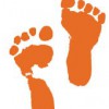 Little Steps Early Learning Center