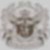 Forge Innovation Development