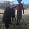 Horse Sense Farm