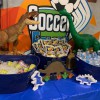 Soccer Fever