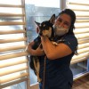 Grand Paws Animal Clinic