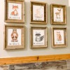 Camp Little Tooth Pediatric Dentistry
