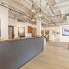 Gallery Wild