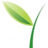 Green Vine Marketing