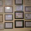 Reiki Reverend PhD