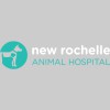 New Rochelle Animal Hospital