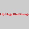 Lily Flagg Mini Storage