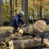 Bonilla Tree Service