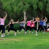 Stuft Fitness