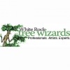White Rock Tree Wizards