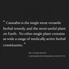 Greenpath Holistic Medicine