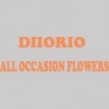 Diiorio All Occasion Flowers