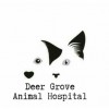 Deer Grove Animal Hospital