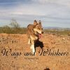Wags & Whiskers Pet Services
