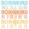 Songbird Rising Suzuki School