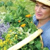 Millcreek Herbs