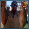 Too Lethal Charters