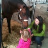 Erin Longworth Performance Horses