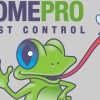 Home Professional Pest Control