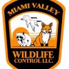 Miami Valley Wildlife Control