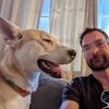 Mile High Pawz