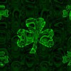 Shamrock Dj Services