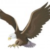 American Flyers