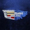 Hamptons Blue Bird Limo