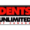 Dents Unlimited & Paint