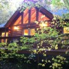 Collett Creek Cabin