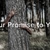 US Tree Care