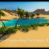 Oasis Counseling Services