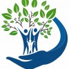 Pinnacle Family Chiropractic