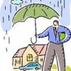 Zapp Insurance Agency