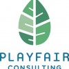 Playfair Consulting
