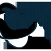 Languages Pro