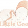 A Little Goose Newborn Photography