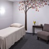 All & One Acupuncture & Wellness
