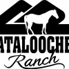 Cataloochee Guest Ranch