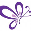 Butterfly Dreams Wedding & Party Services