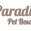 Paradise Pet Resort
