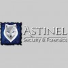 Astinel Security & Forensics
