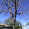Jaimes Tree Service