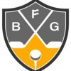 Buzz Fantasy Leagues