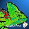 Adventure Pets