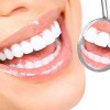 Jeffrey Navre, DDS