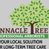 Pinnacle Tree Professional Arborist