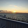 Avalon Yacht Club